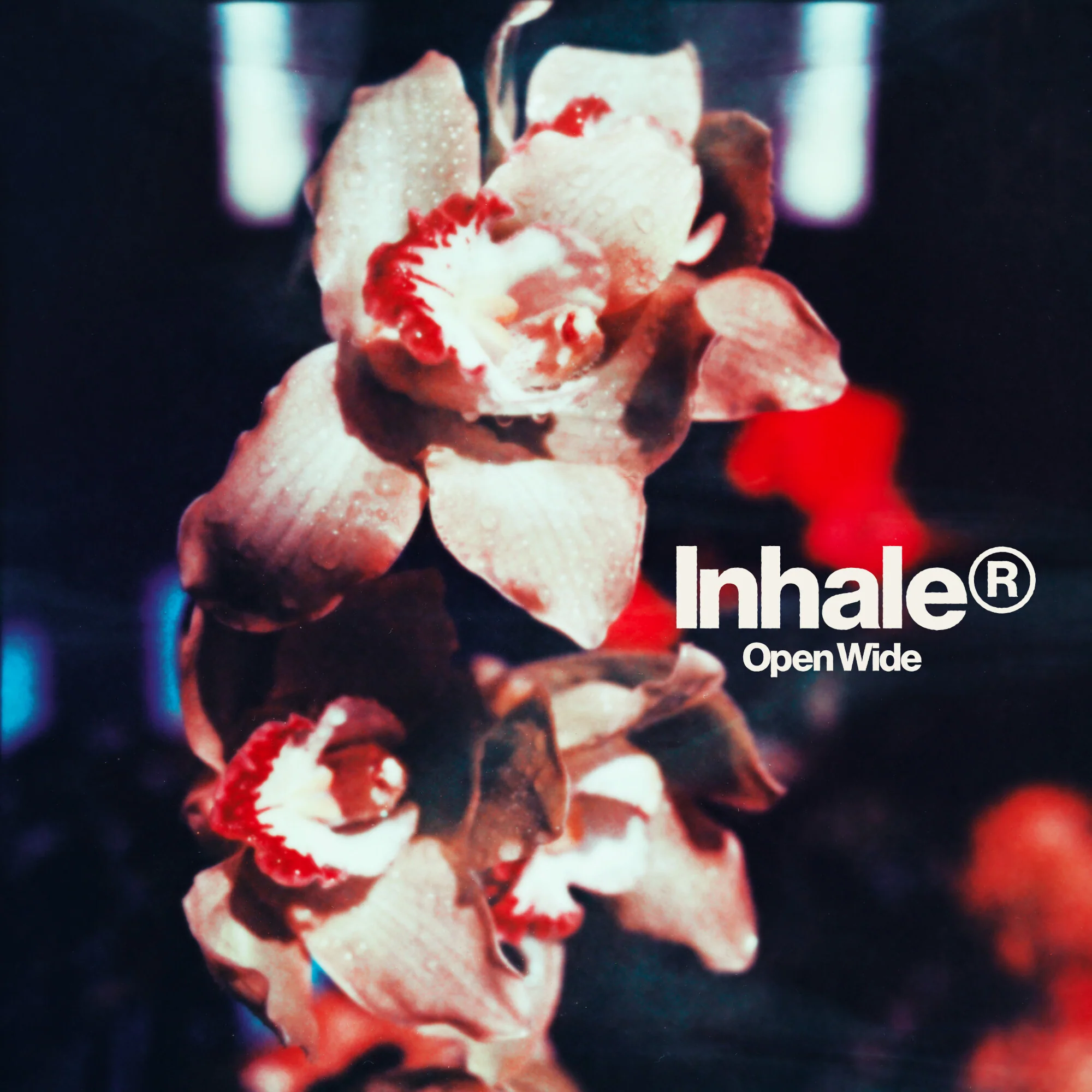 Open Wide - Image 2