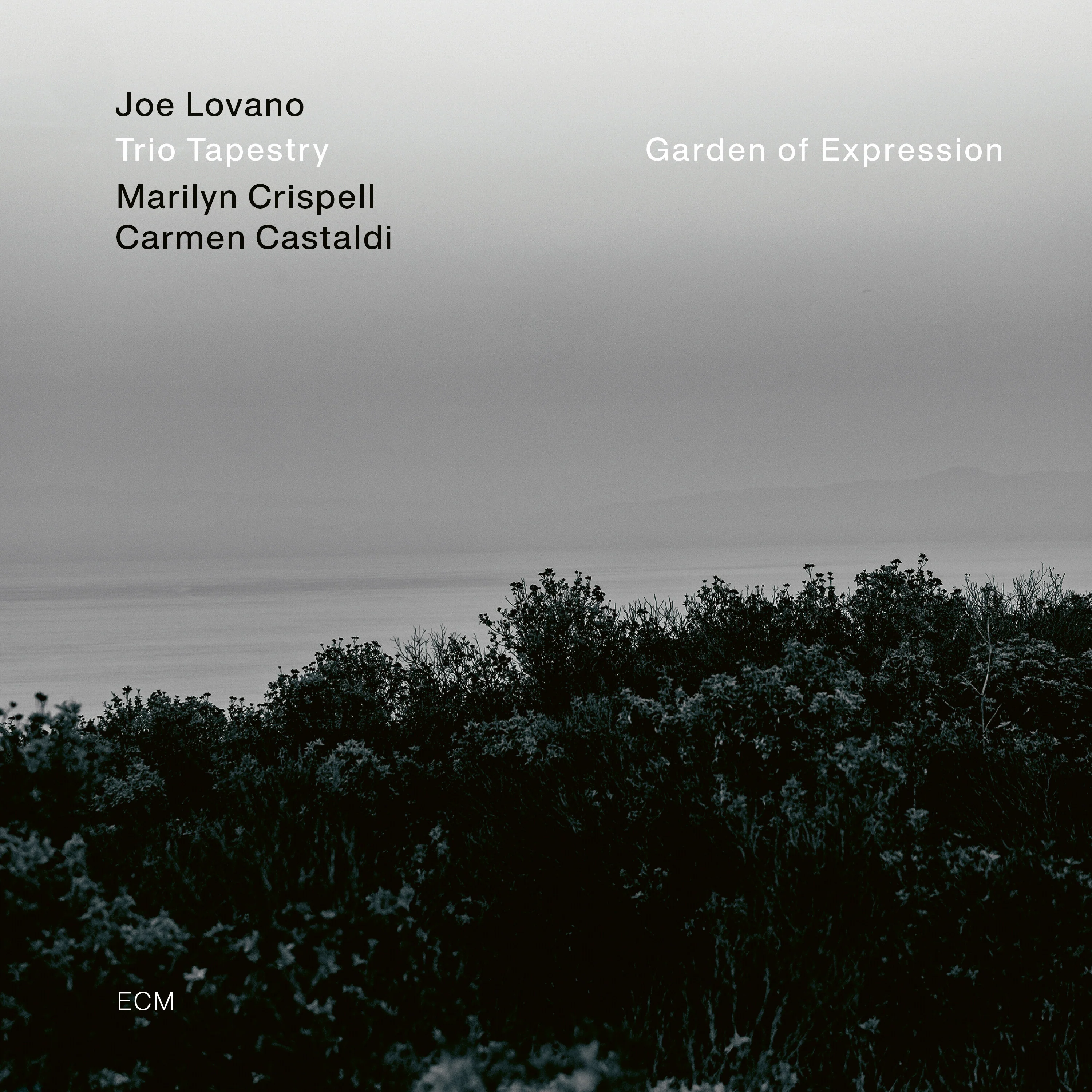 Garden of Expression - Image 2
