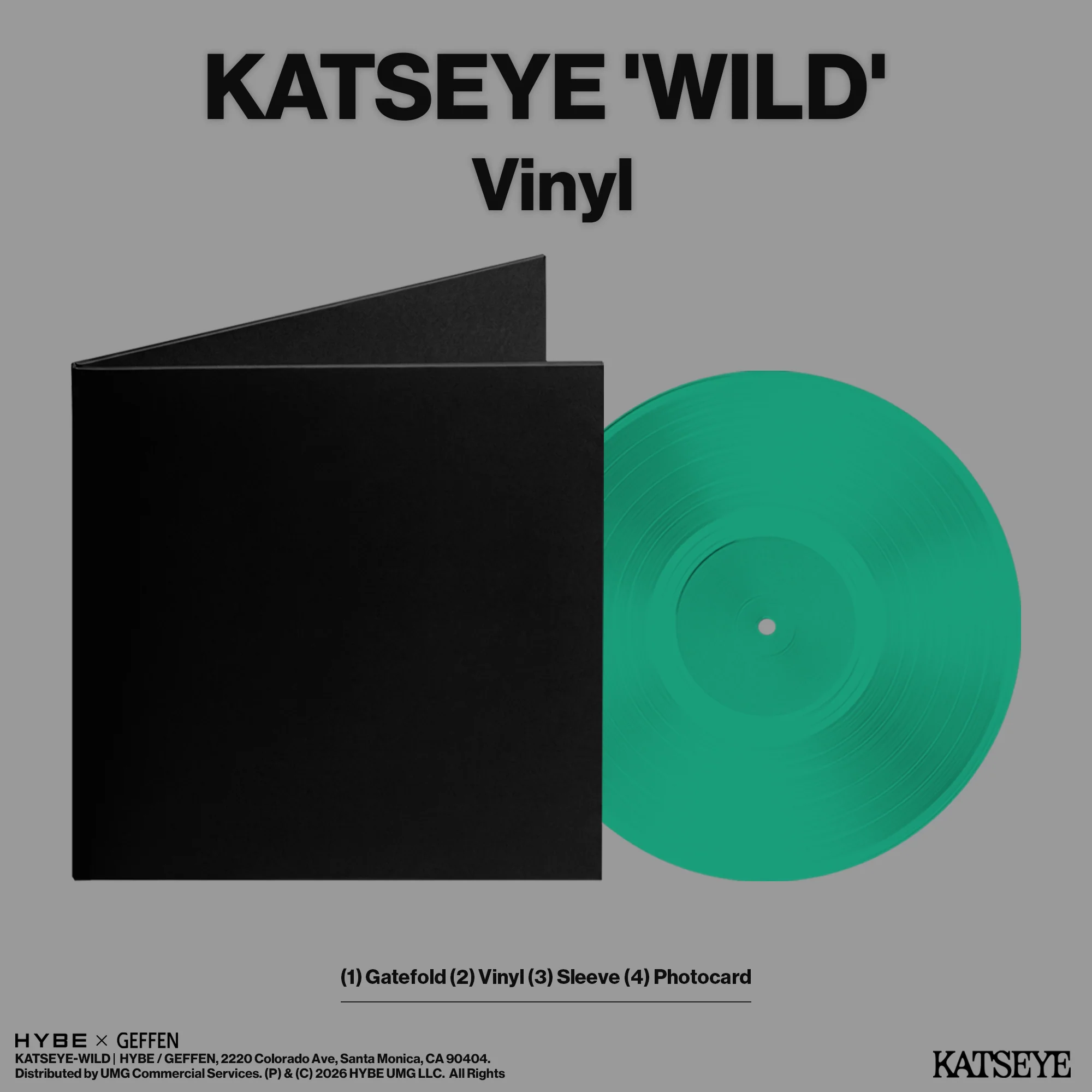 WILD Vinyl - Standard Edition + Signed Artcard - Image 2