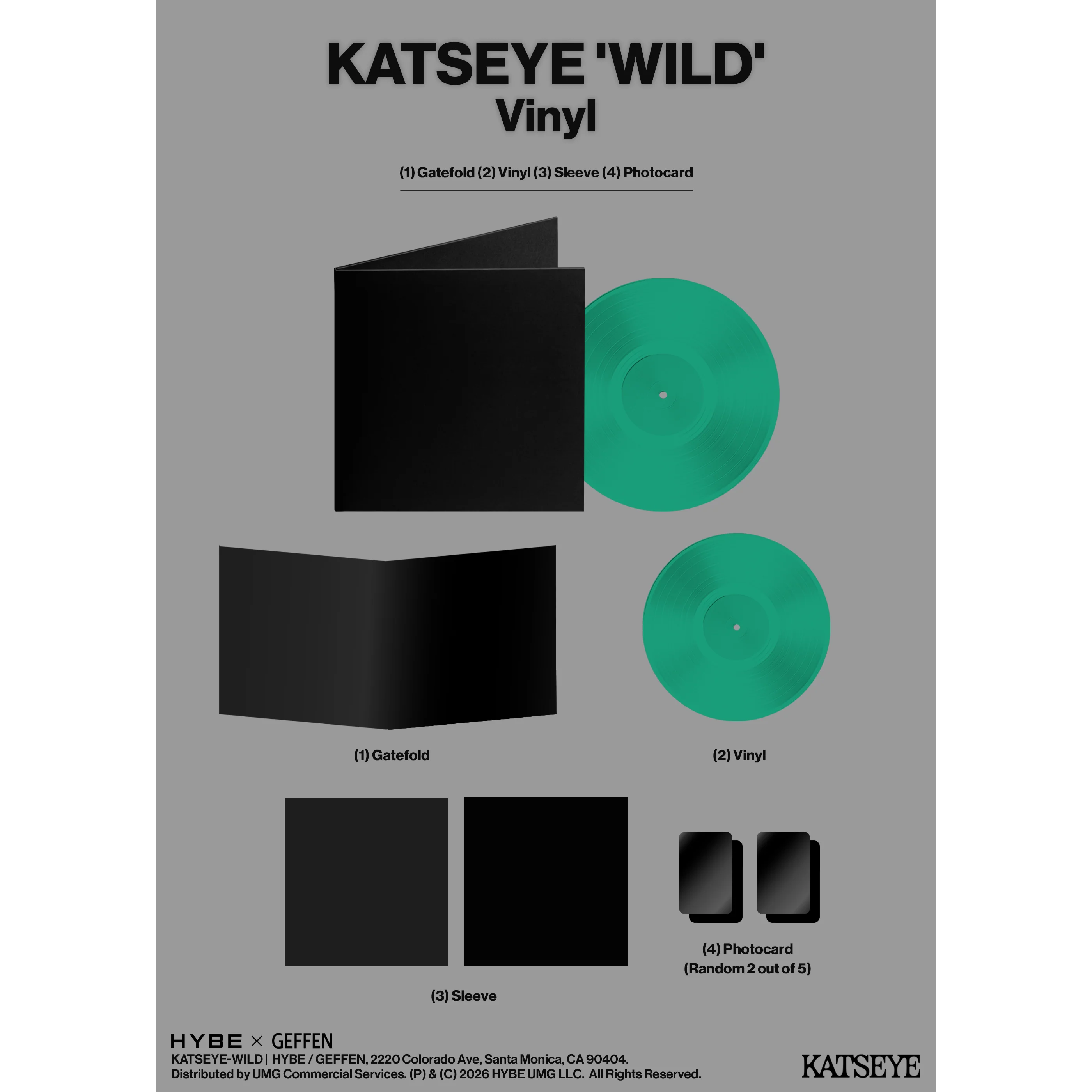 WILD Vinyl - Standard Edition + Signed Artcard - Image 7