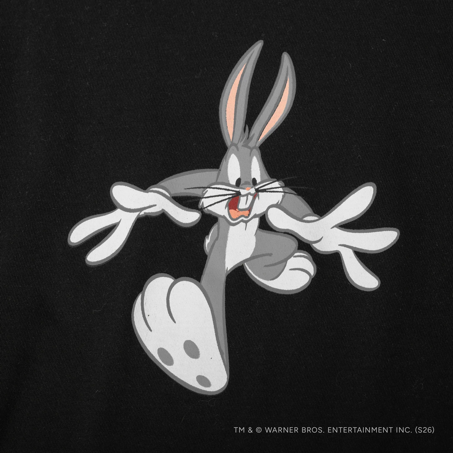 Bugs Running - Image 4
