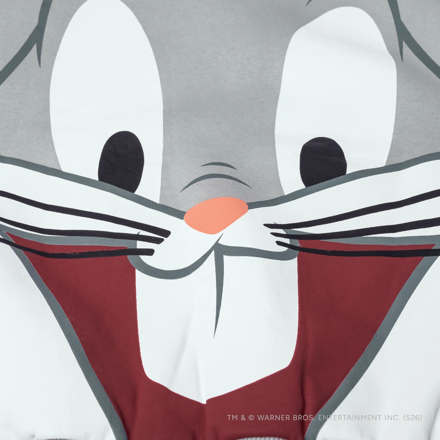 Bugs - Thats all Folks! - Image 7