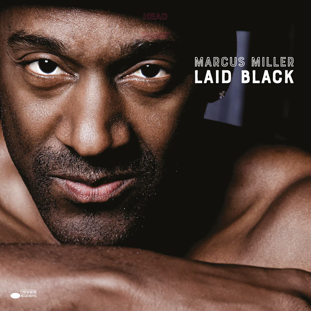 Laid Black - Image 2