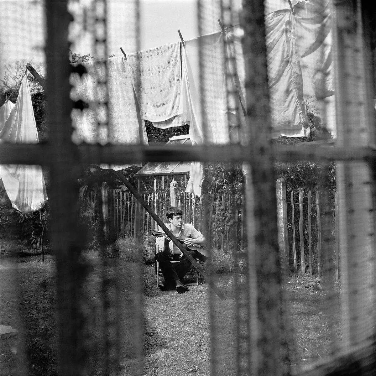 Chaos And Creation In The Backyard - Image 2