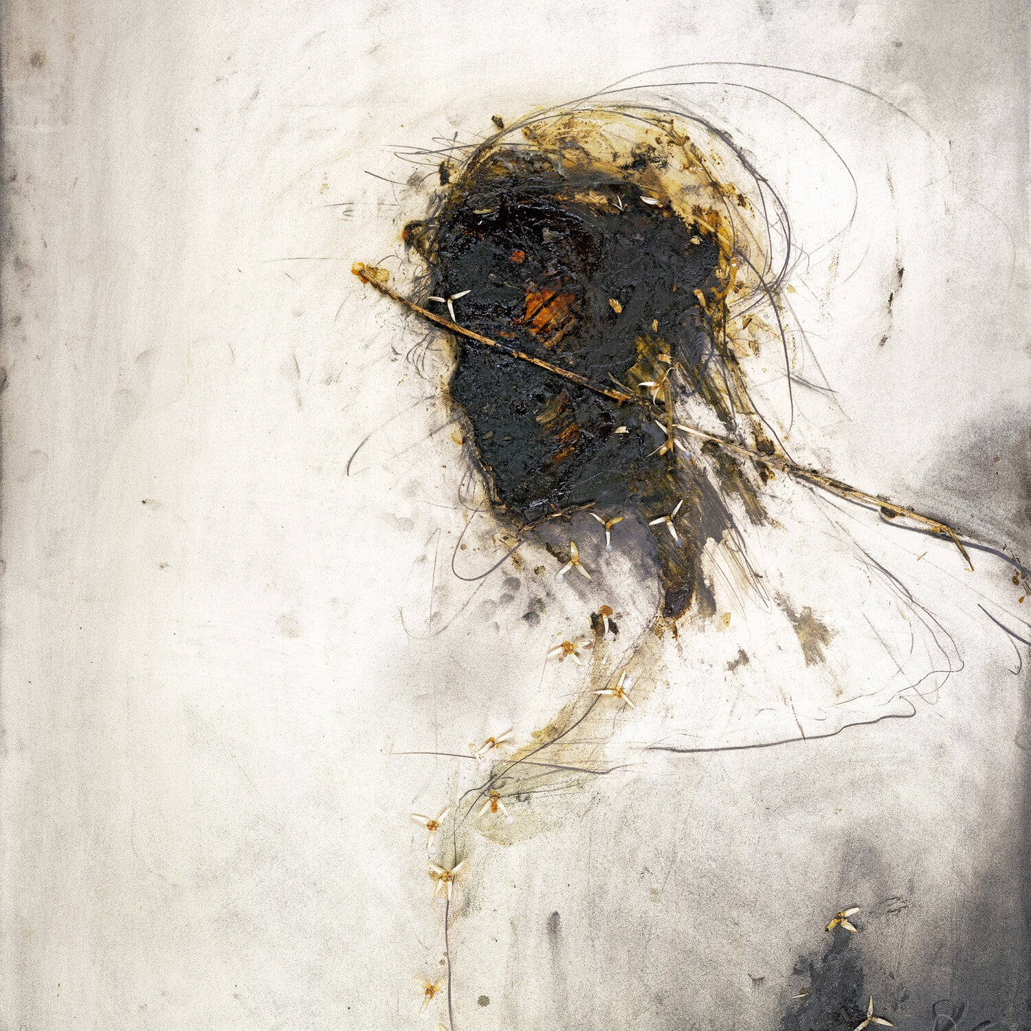 Passion - Image 2