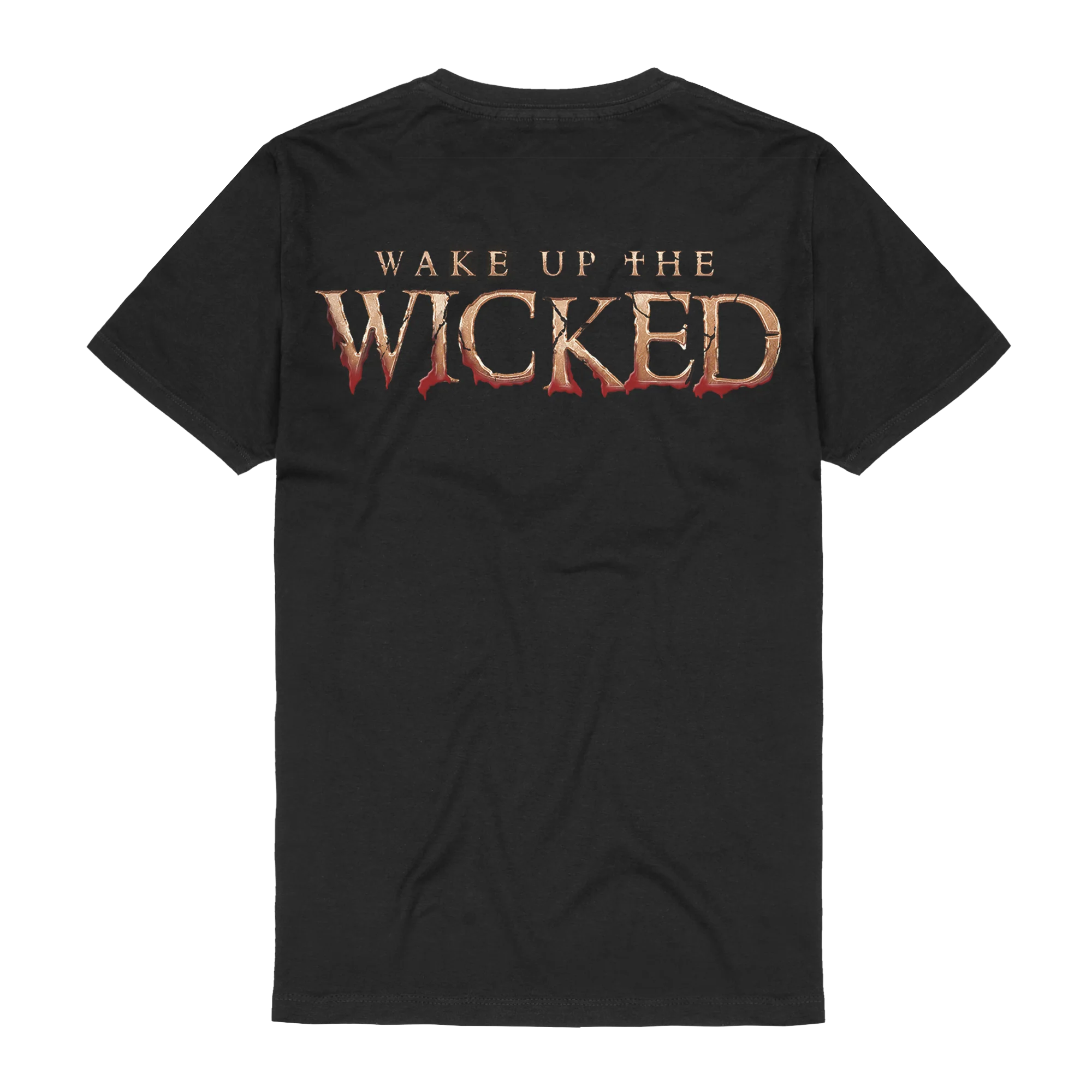 Wake Up The Wicked Cover - Image 2