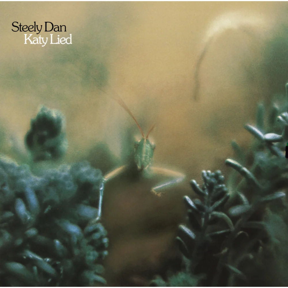Katy Lied - Image 2